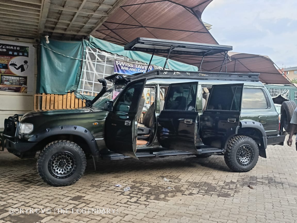 Safari wildlife